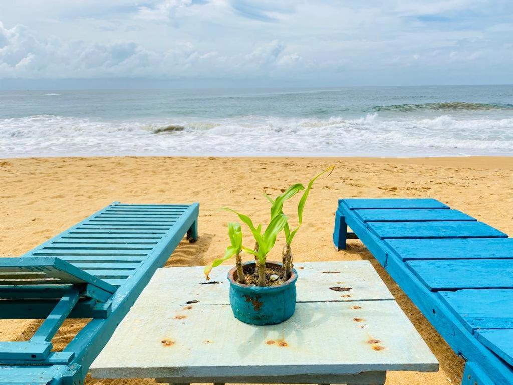 גאלה Ramya Ru Beach Home מראה חיצוני תמונה